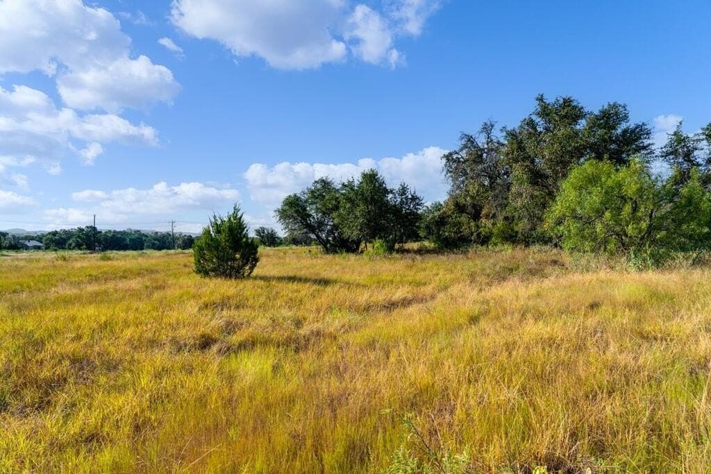 11 acres in Blanco County - photo 18