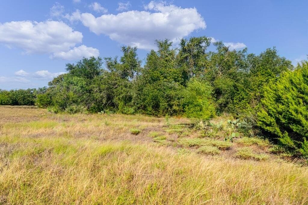 11 acres in Blanco County - photo 11