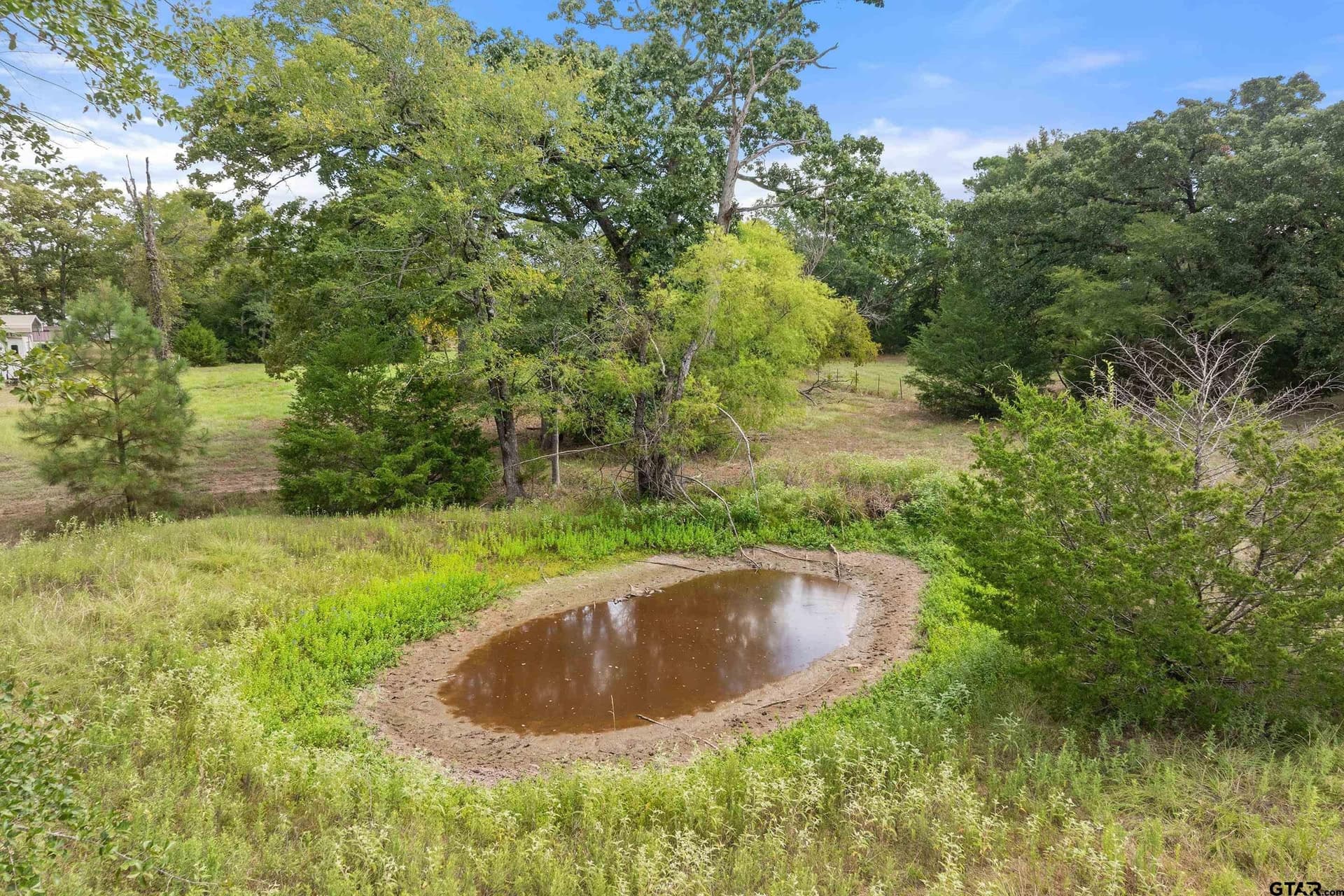 11.66 acres in Anderson County - photo 4
