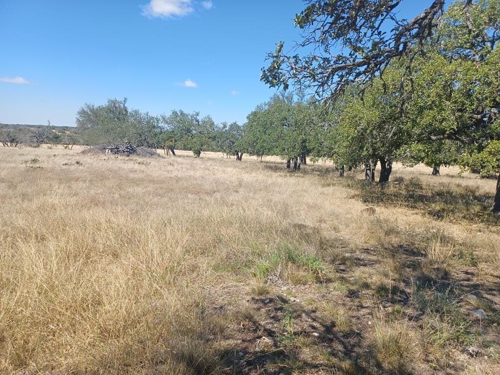 30 acres in Gillespie County gallery image 4