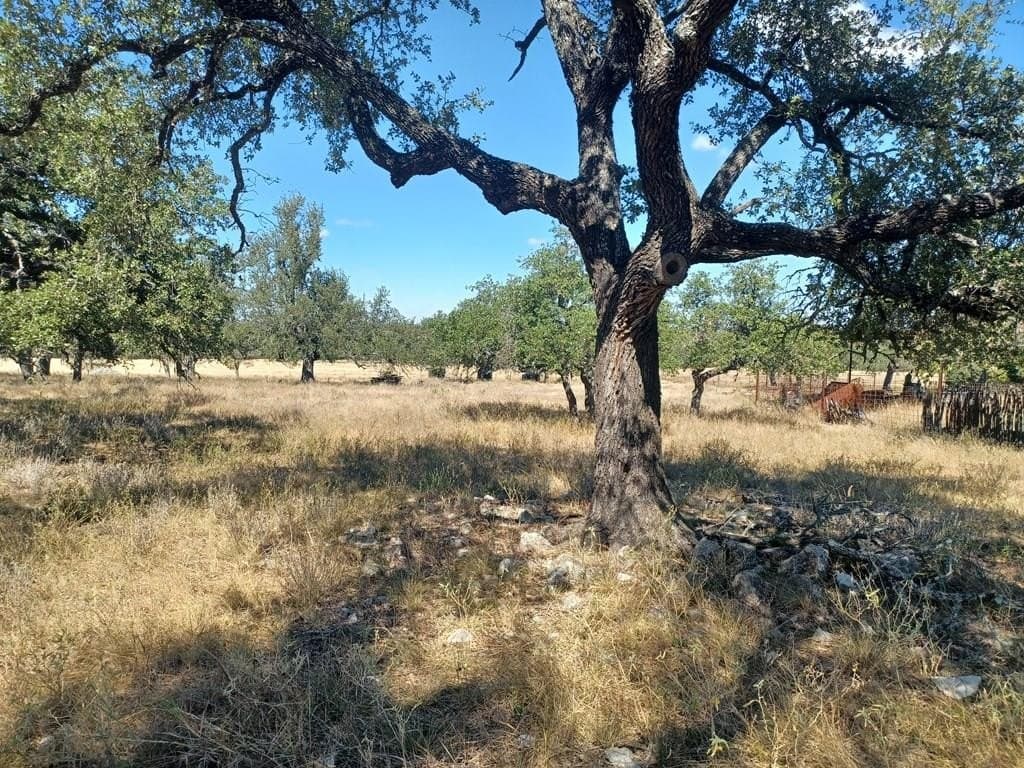 30 acres in Gillespie County