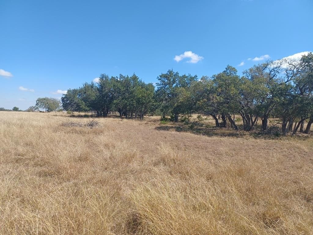 30 acres in Gillespie County featured view