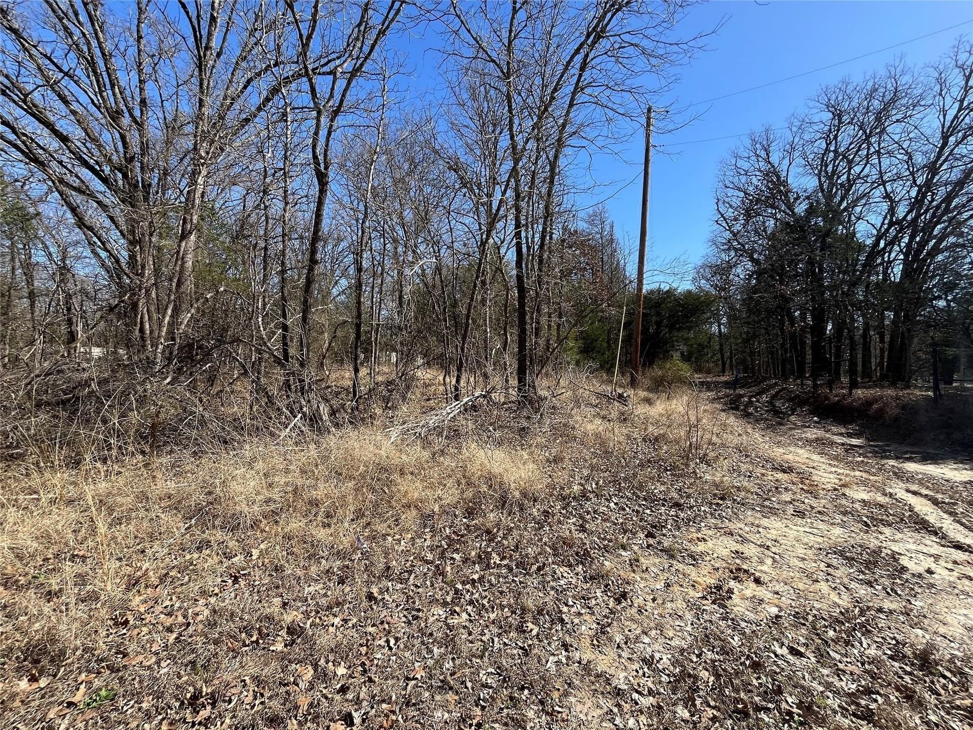 0.49 acres in Hunt County - photo 5