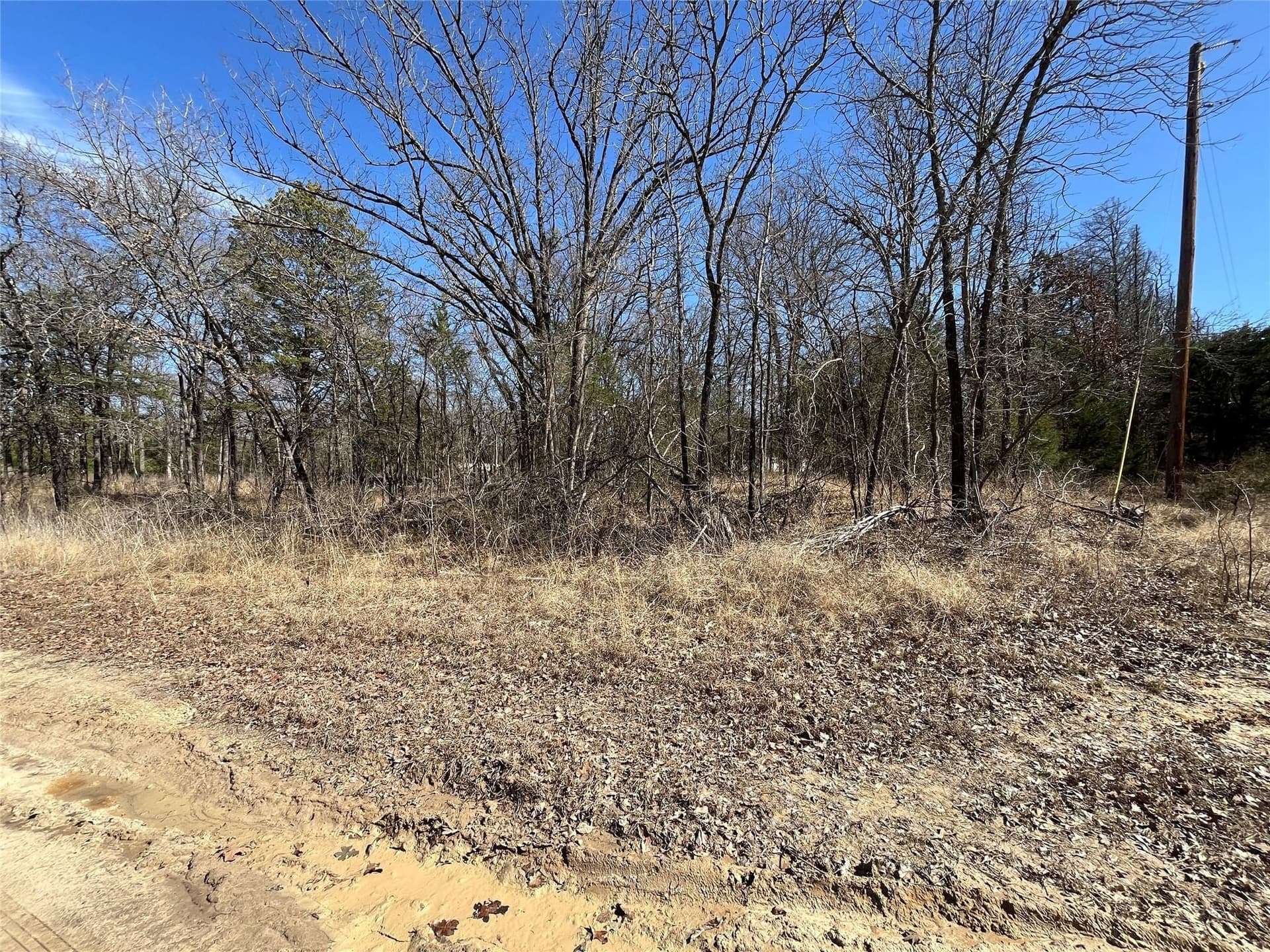 0.49 acres in Hunt County - photo 4