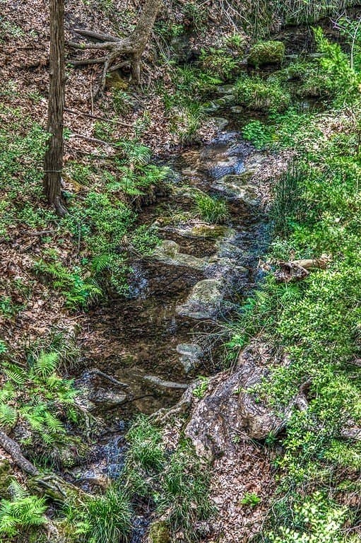 28.47 acres in Austin County - photo 24