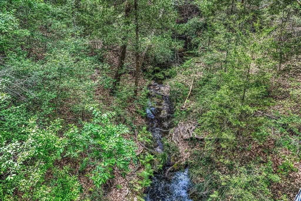28.47 acres in Austin County - photo 23