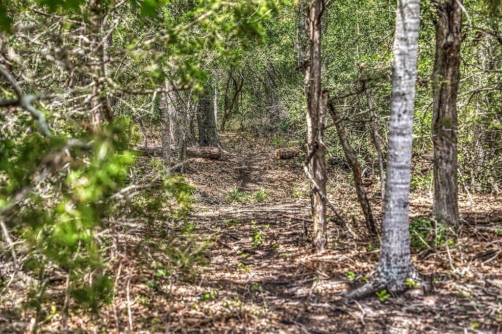 28.47 acres in Austin County - photo 17