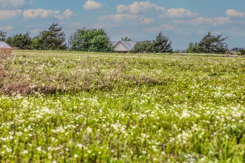 28.47 acres in Austin County gallery image 3