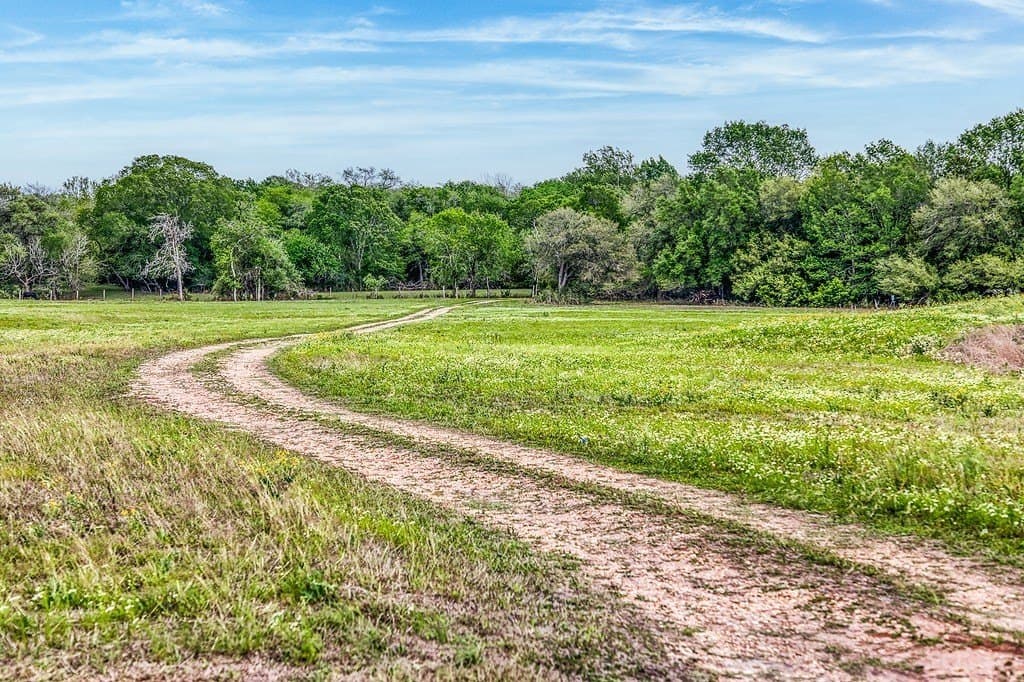 28.47 acres in Austin County gallery image 2