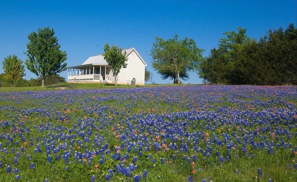 28.47 acres in Austin County - photo 9