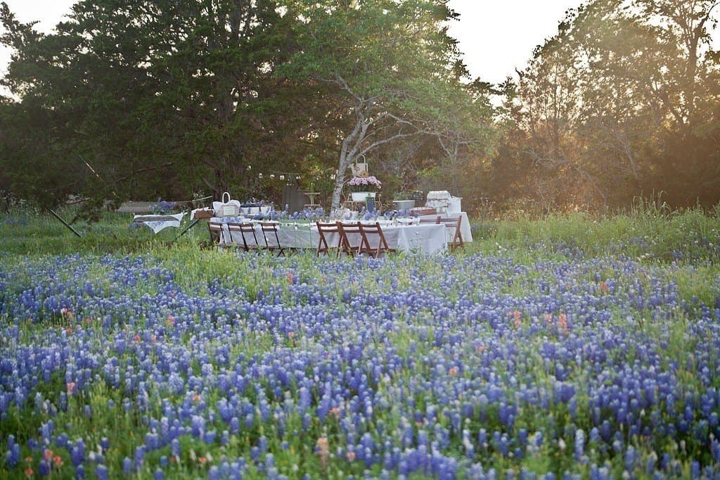 28.47 acres in Austin County - photo 10