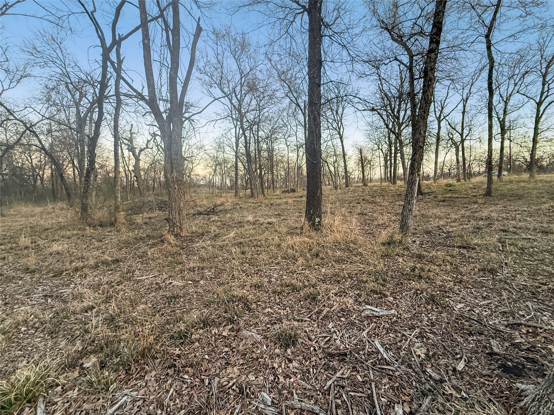 1.21 acres in Hopkins County - photo 6