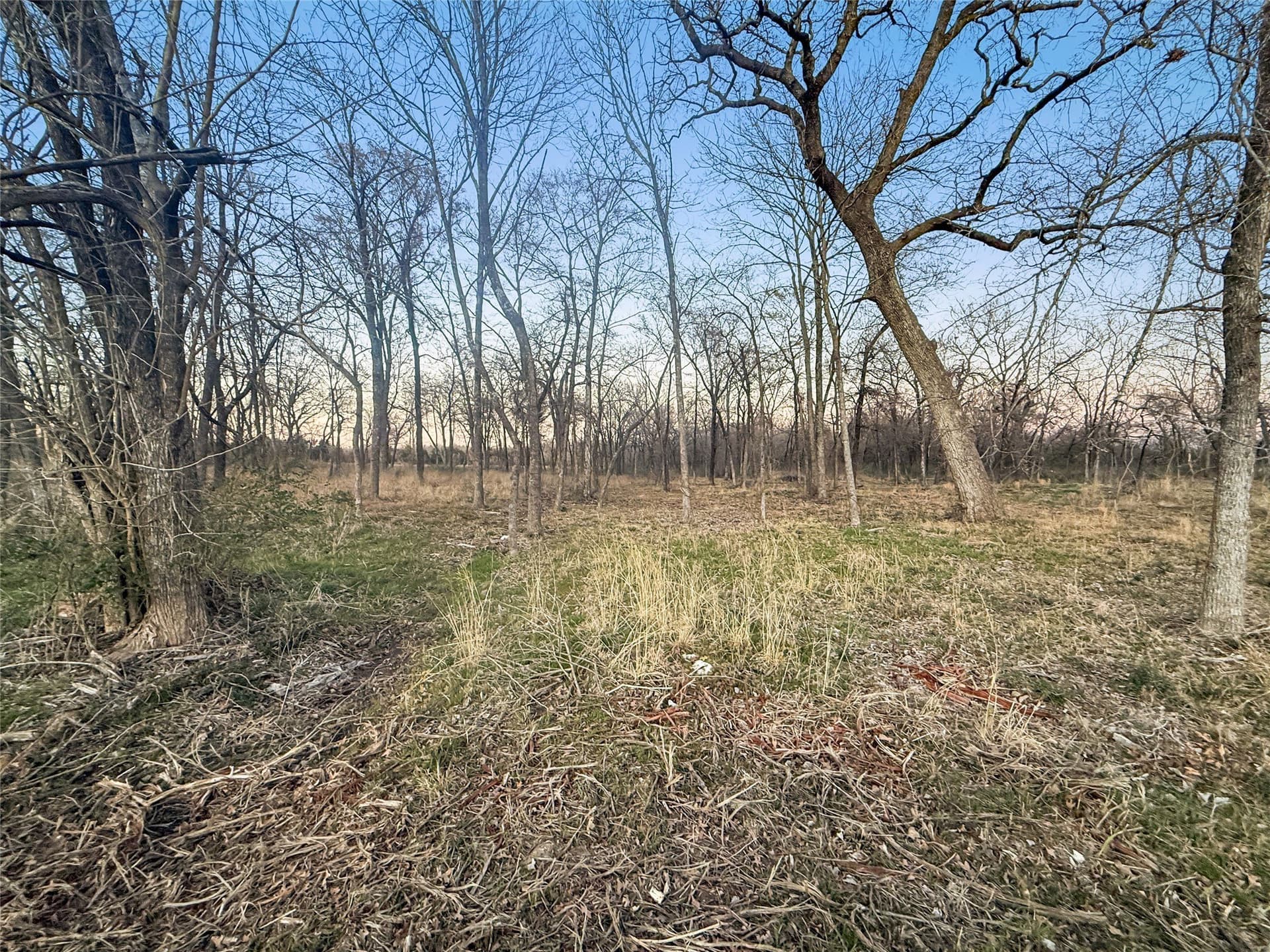 1.21 acres in Hopkins County - photo 5