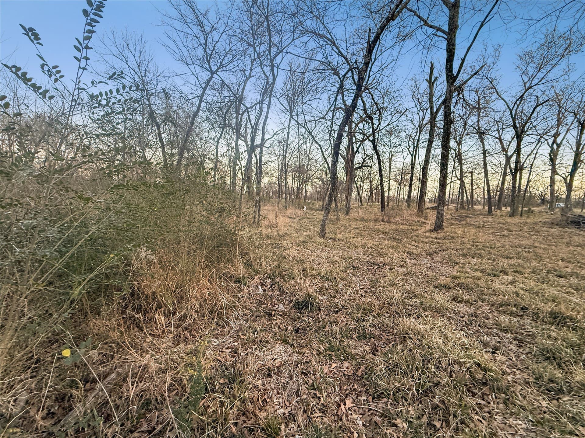 1.21 acres in Hopkins County - photo 9