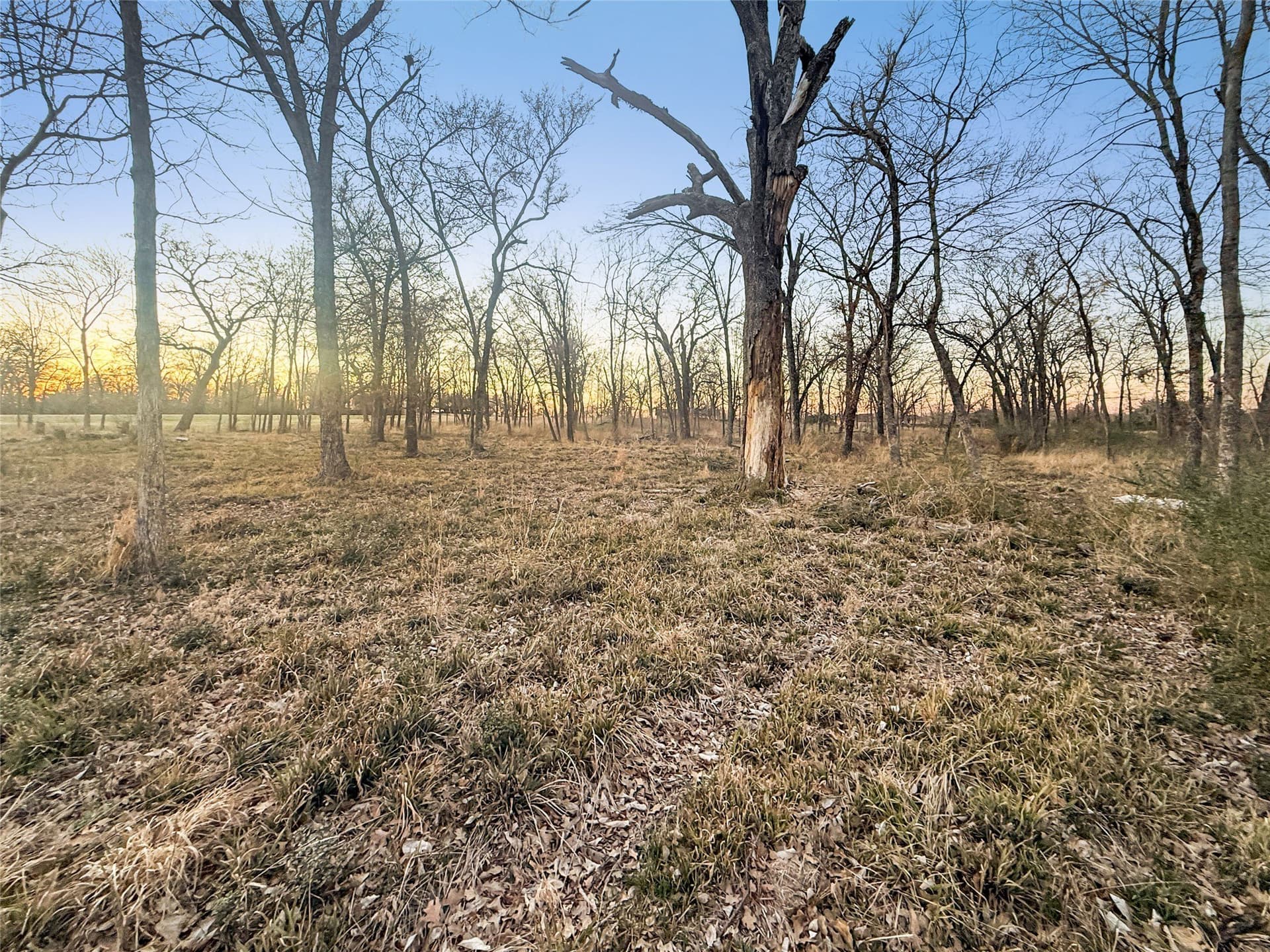 1.21 acres in Hopkins County - photo 2