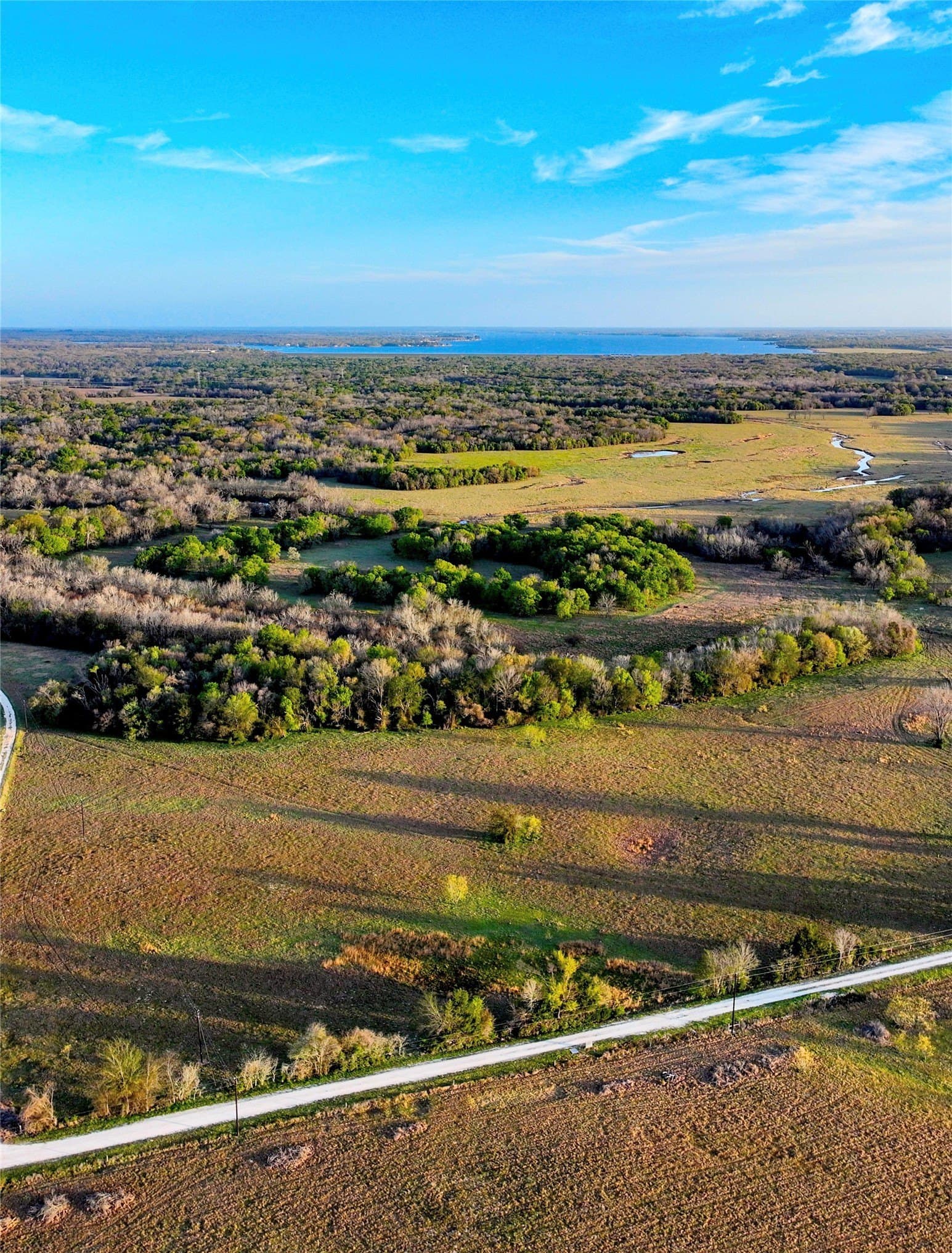 10 acres in Leon County - photo 11