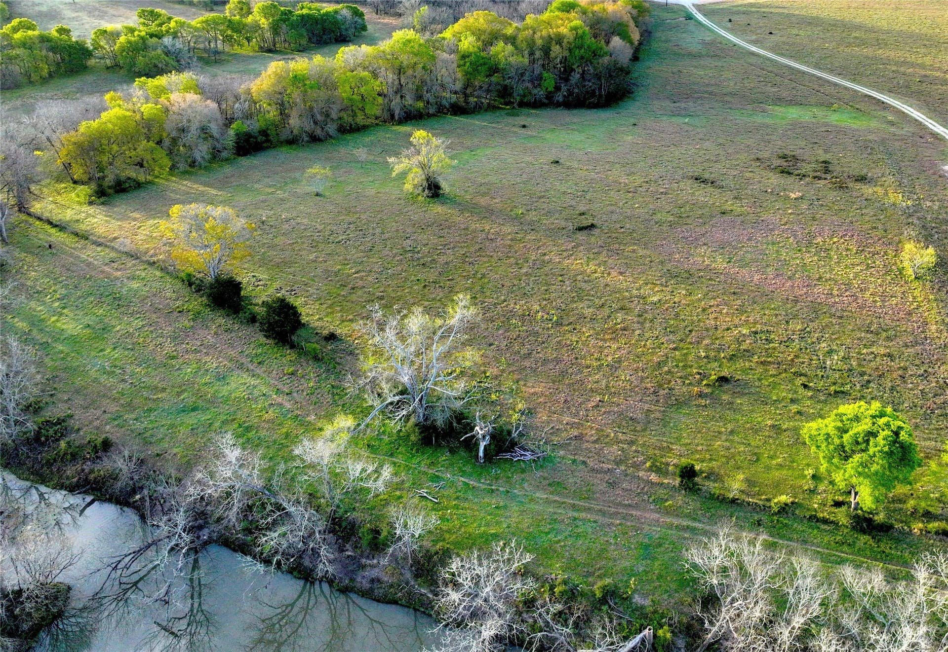 10 acres in Leon County