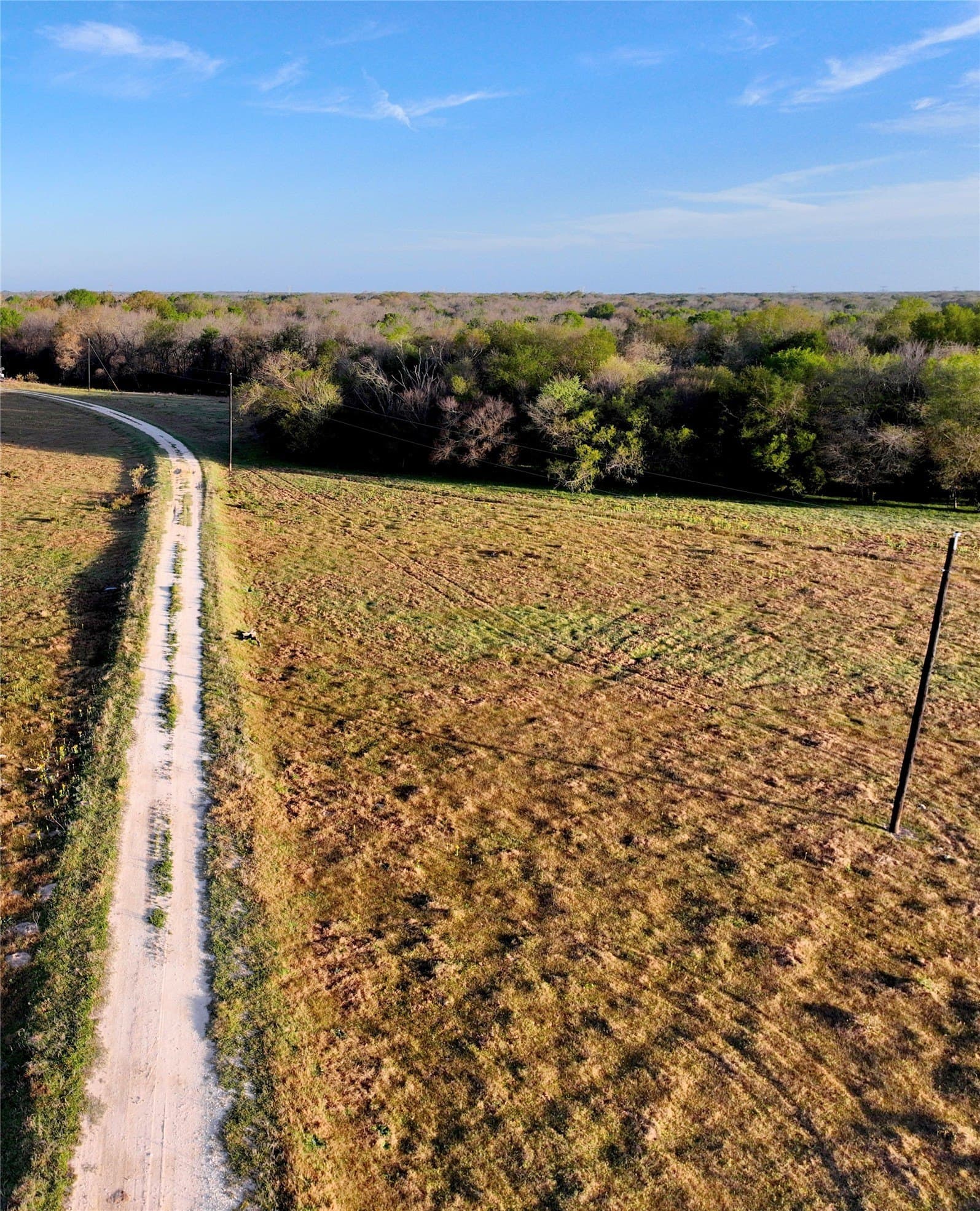10 acres in Leon County - photo 13
