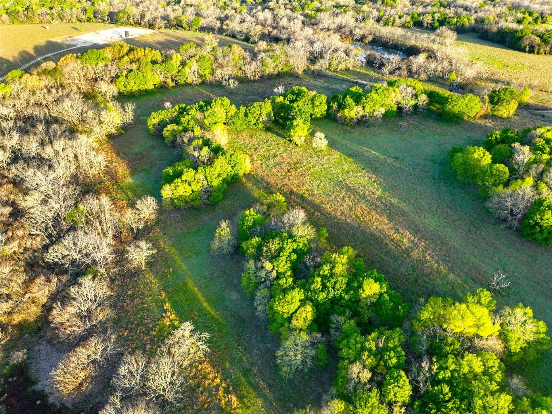10 acres in Leon County - photo 7