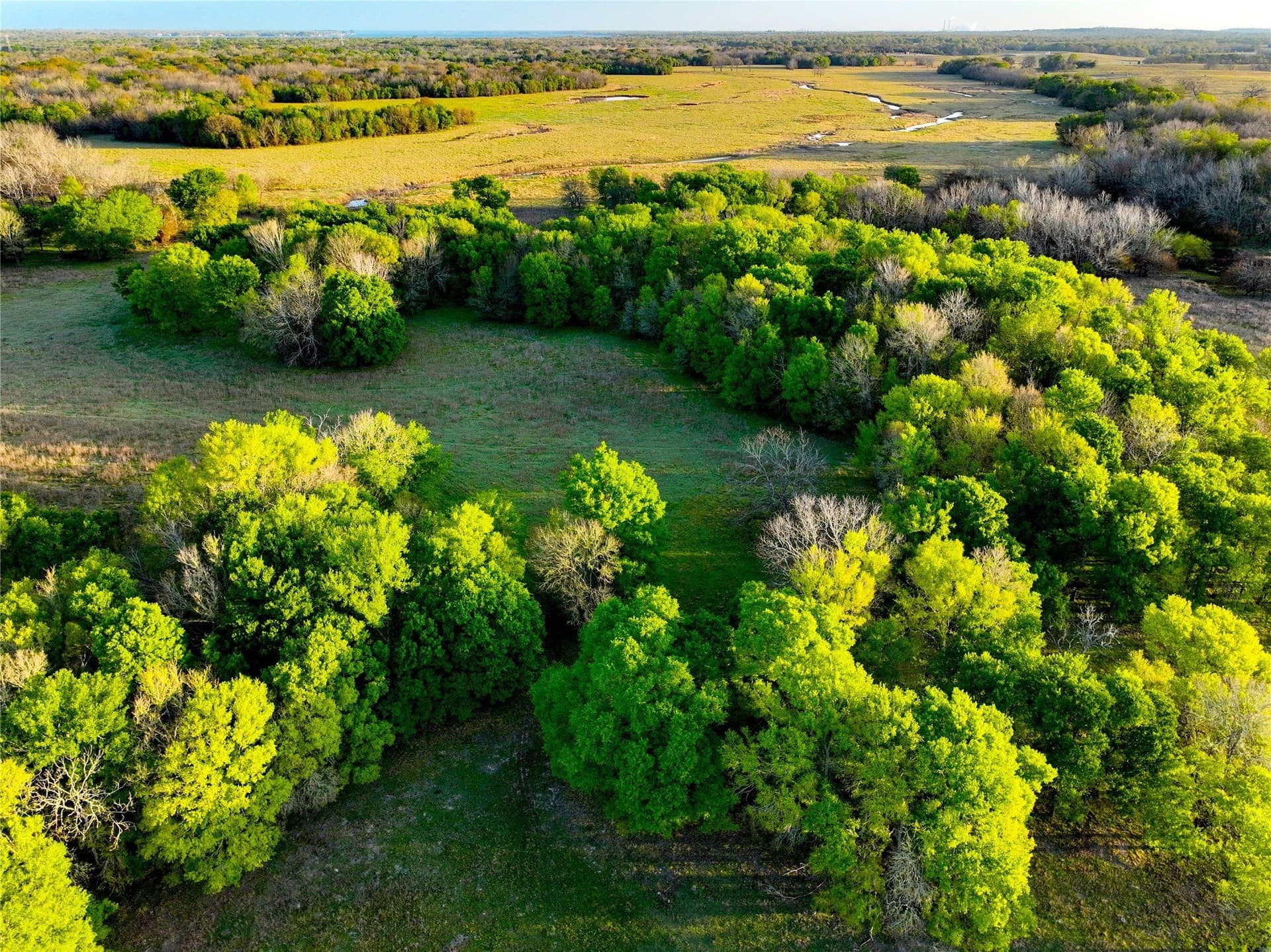 10 acres in Leon County - photo 6