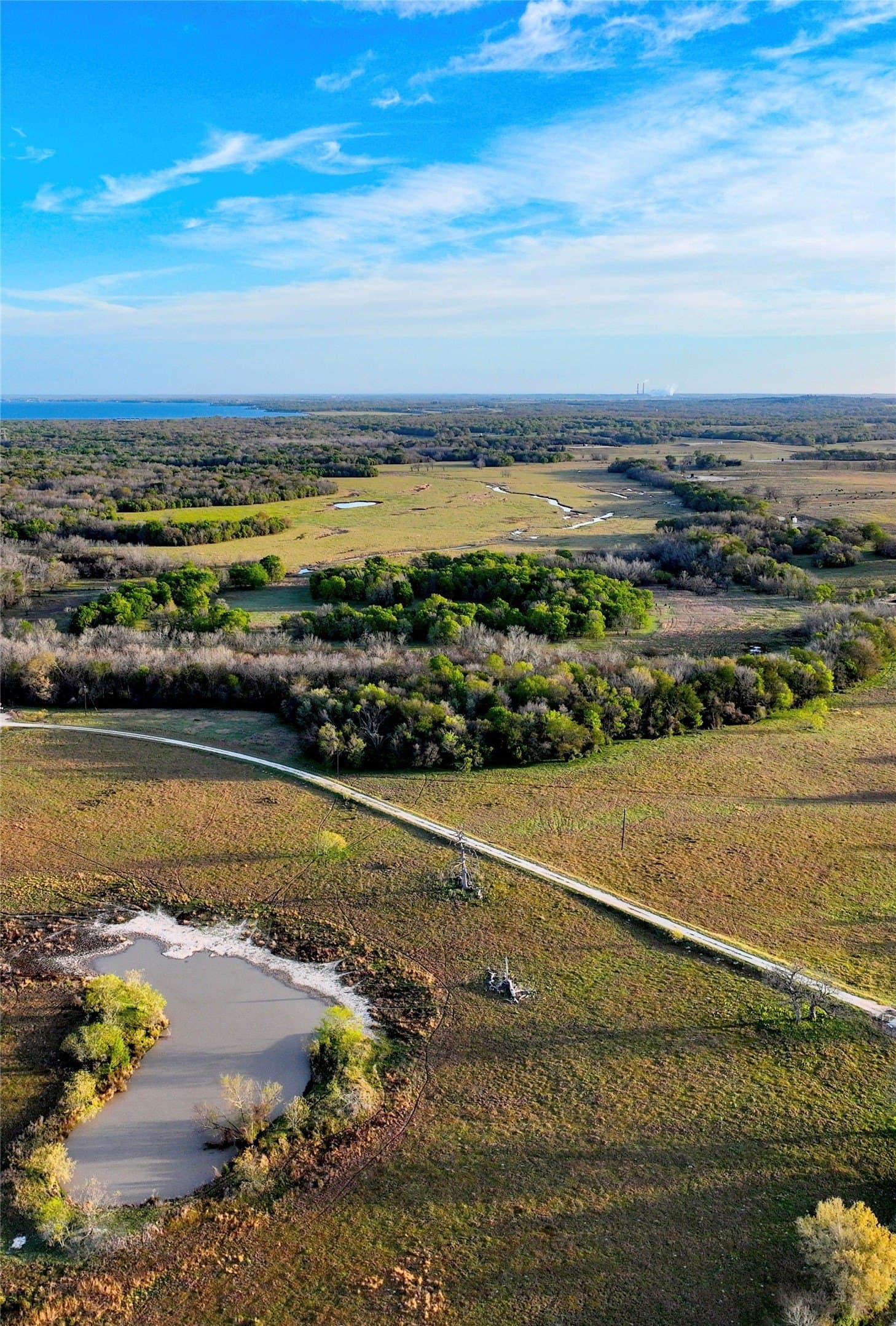 10 acres in Leon County - photo 12