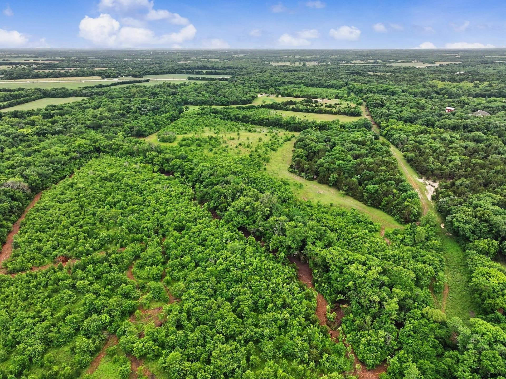 87 acres in Collin County - photo 13