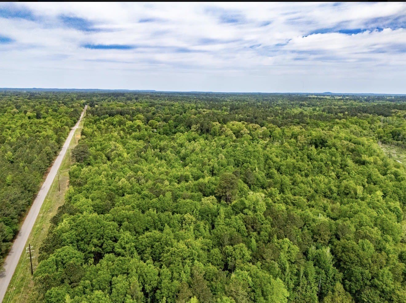 40 acres in Upshur County - photo 3