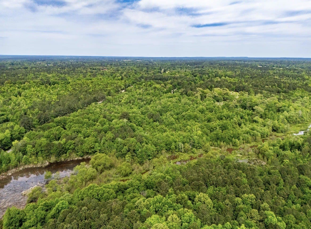 40 acres in Upshur County - photo 5
