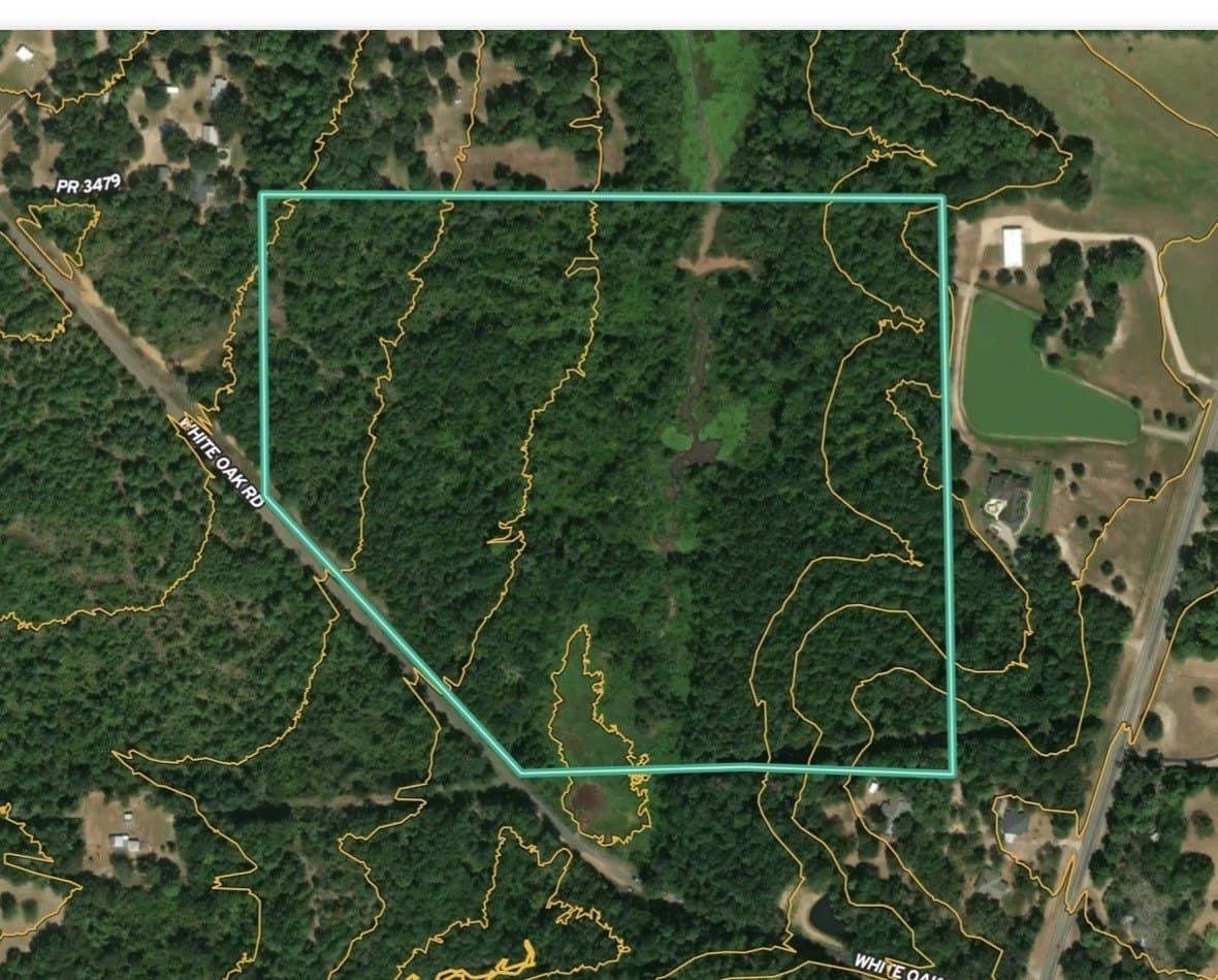 40 acres in Upshur County - photo 8