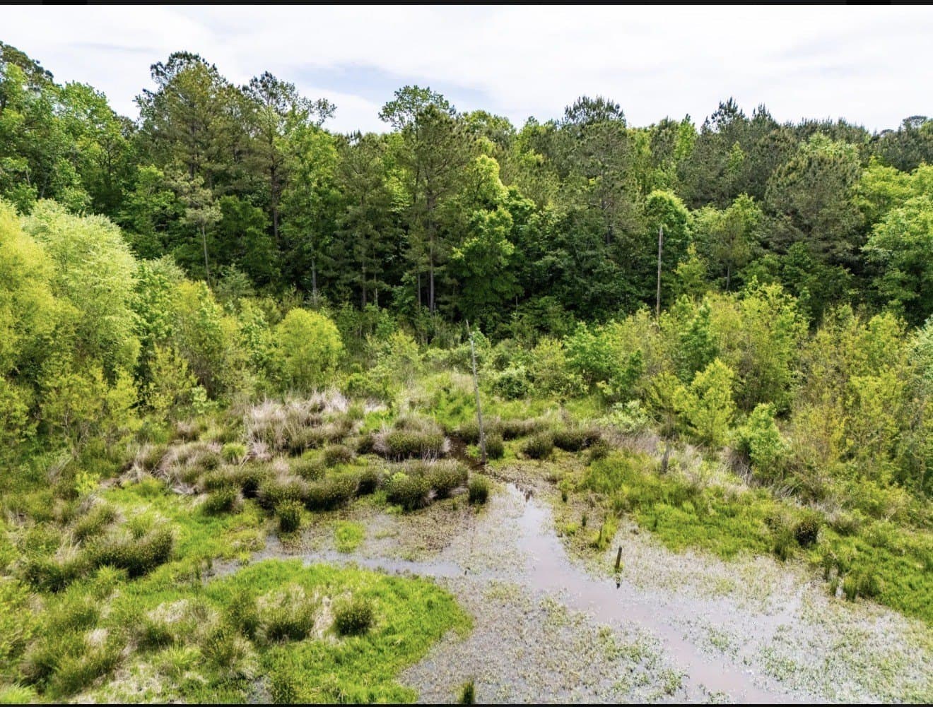 40 acres in Upshur County - photo 6