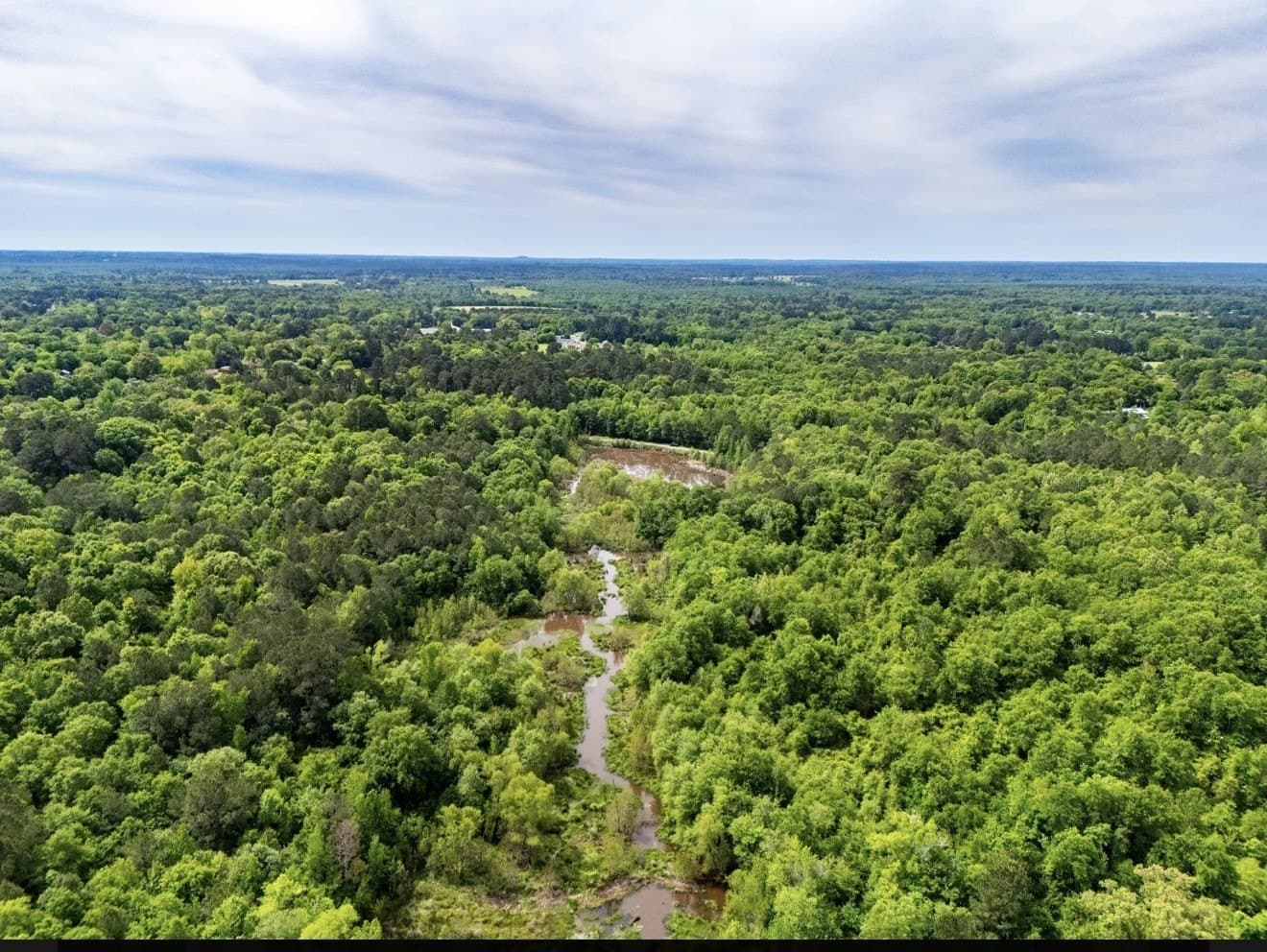 40 acres in Upshur County - photo 2