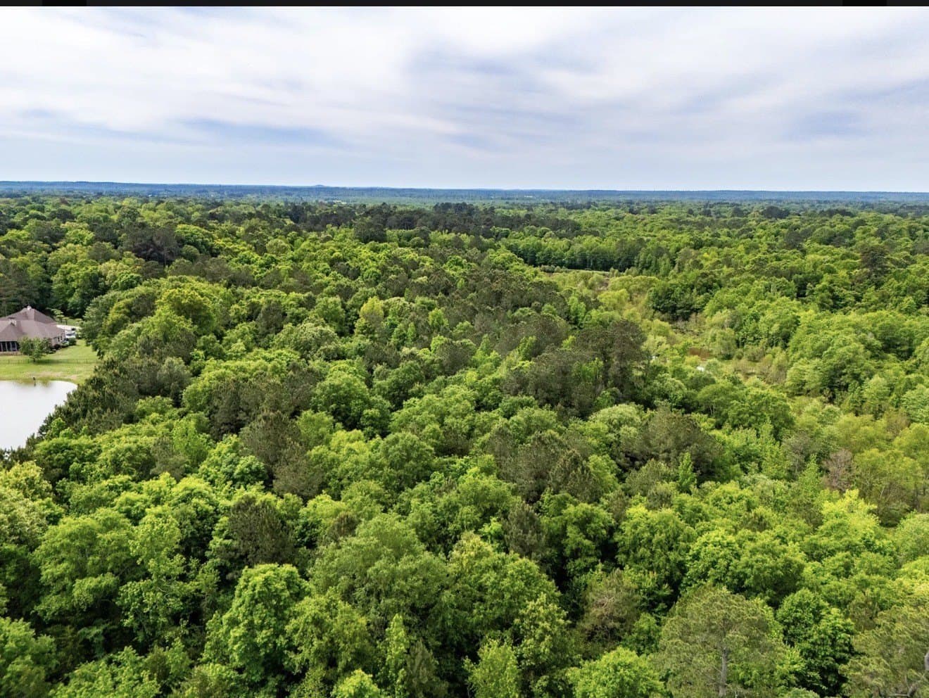 40 acres in Upshur County - photo 4