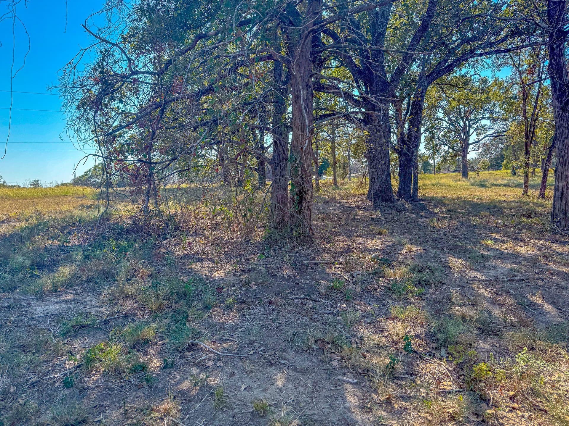 1.01 acres in Navarro County - photo 19