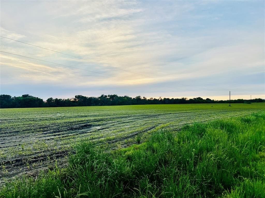 51.72 acres in Fannin County
