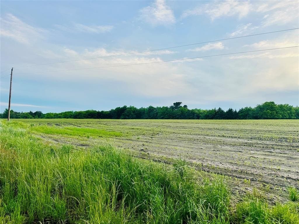 51.72 acres in Fannin County gallery image 2