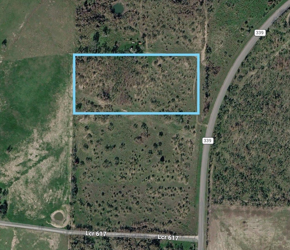 4.33 acres in Limestone County