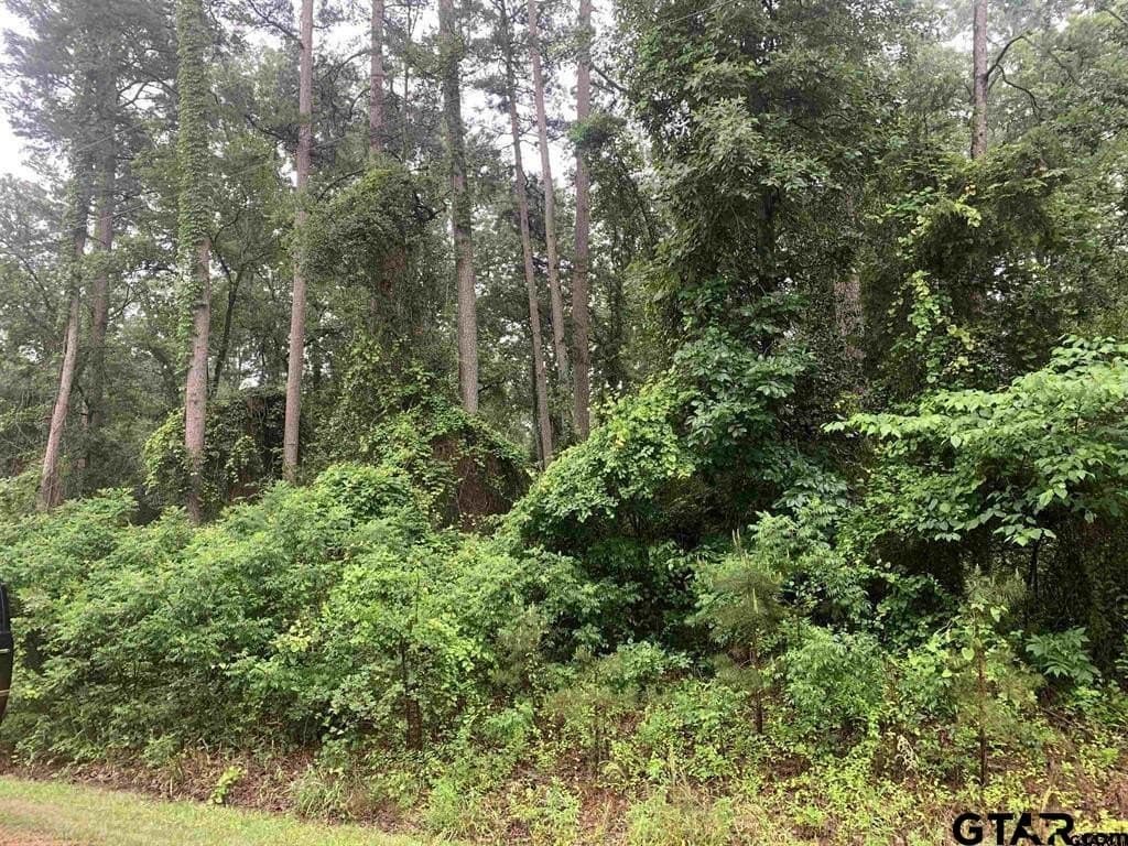 0.27 acres in Franklin County - photo 2