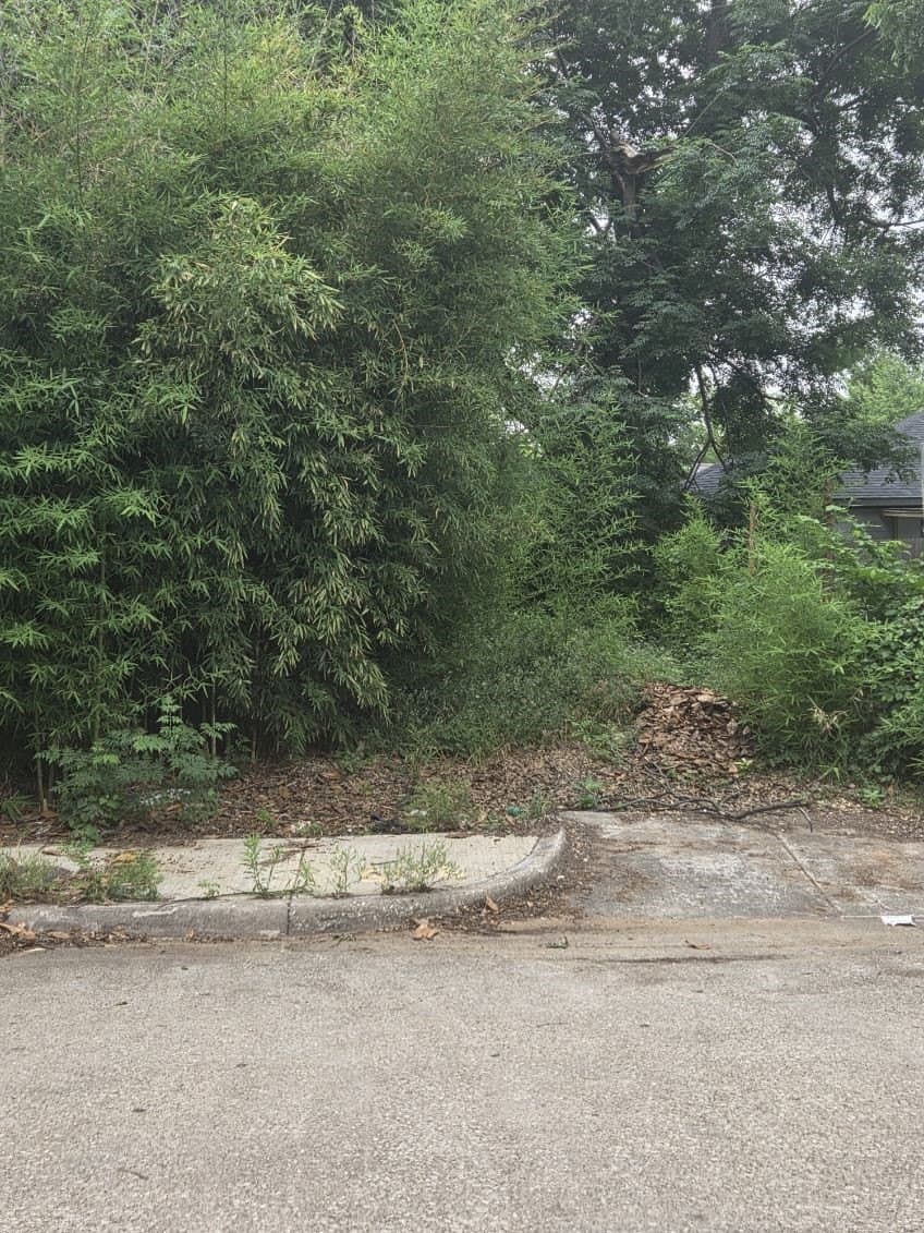 0.04 acres in Dallas County gallery image 3