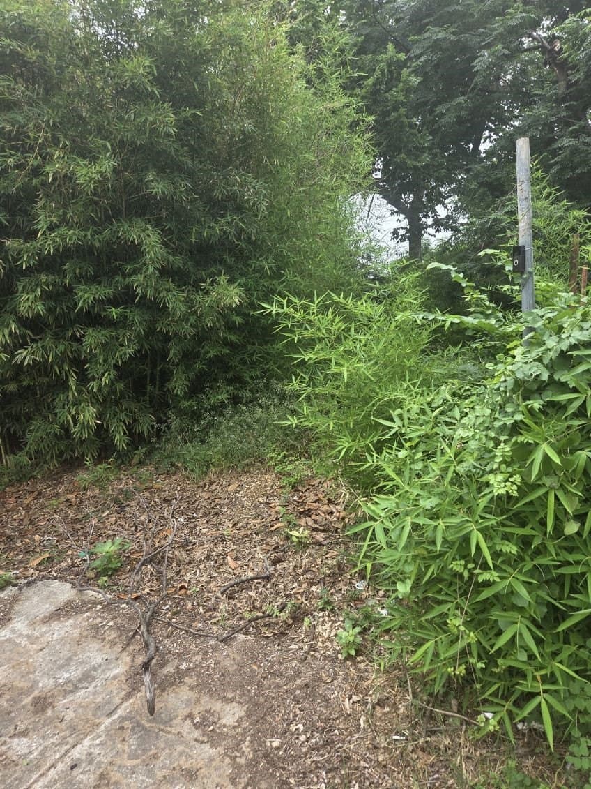 0.04 acres in Dallas County gallery image 2