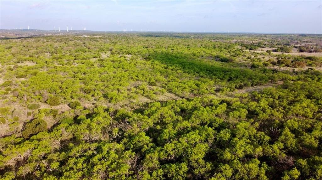 97.72 acres in Comanche County gallery image 4