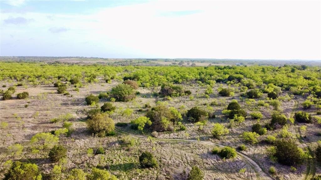 97.72 acres in Comanche County gallery image 3
