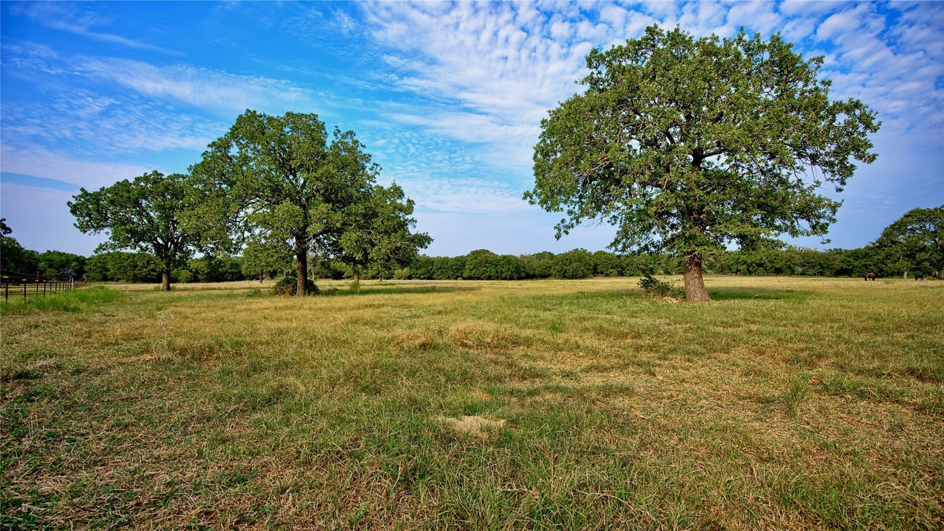 20 acres in Montague County - photo 16