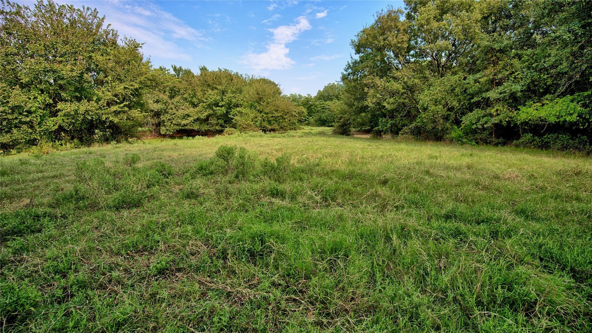 20 acres in Montague County - photo 14