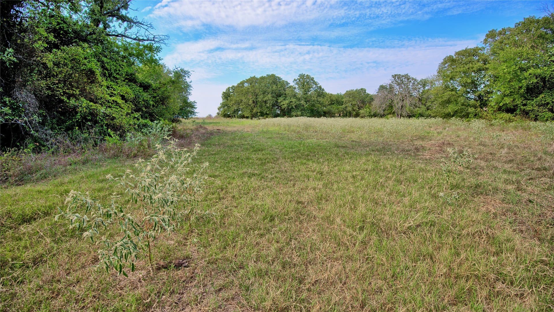 20 acres in Montague County - photo 36