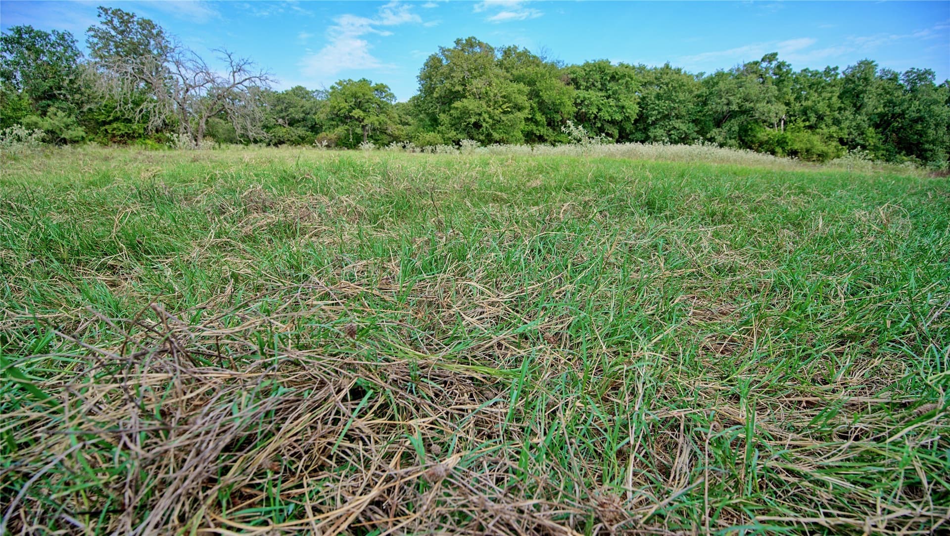 20 acres in Montague County - photo 30