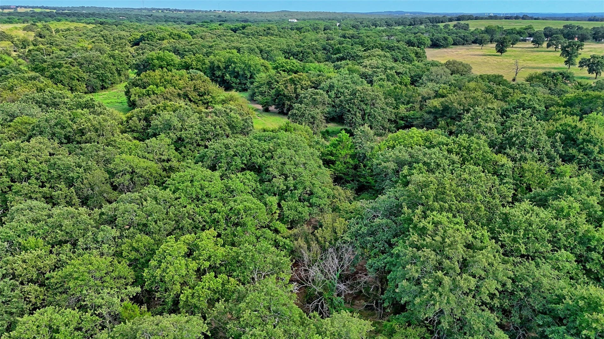20 acres in Montague County