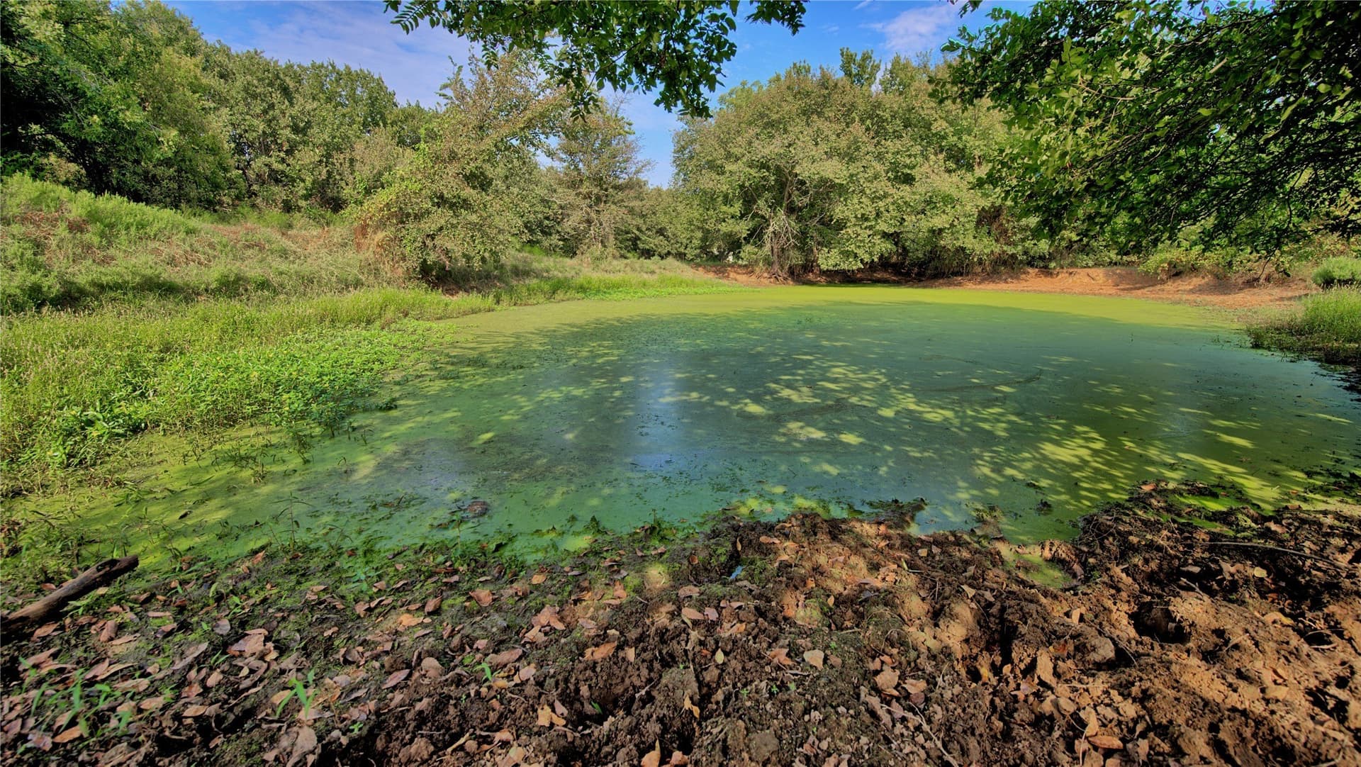 20 acres in Montague County - photo 13