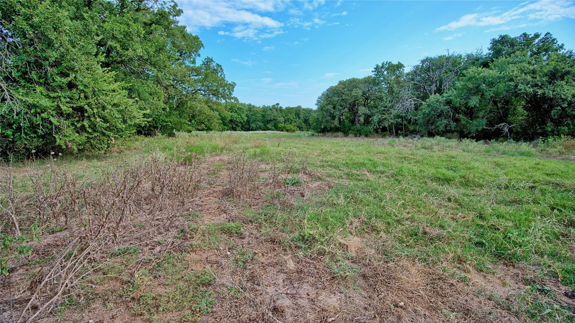 20 acres in Montague County - photo 38