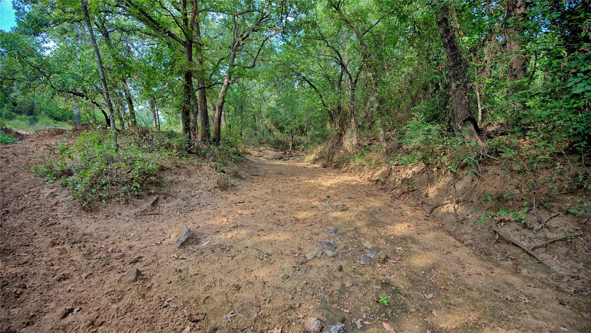 20 acres in Montague County - photo 9