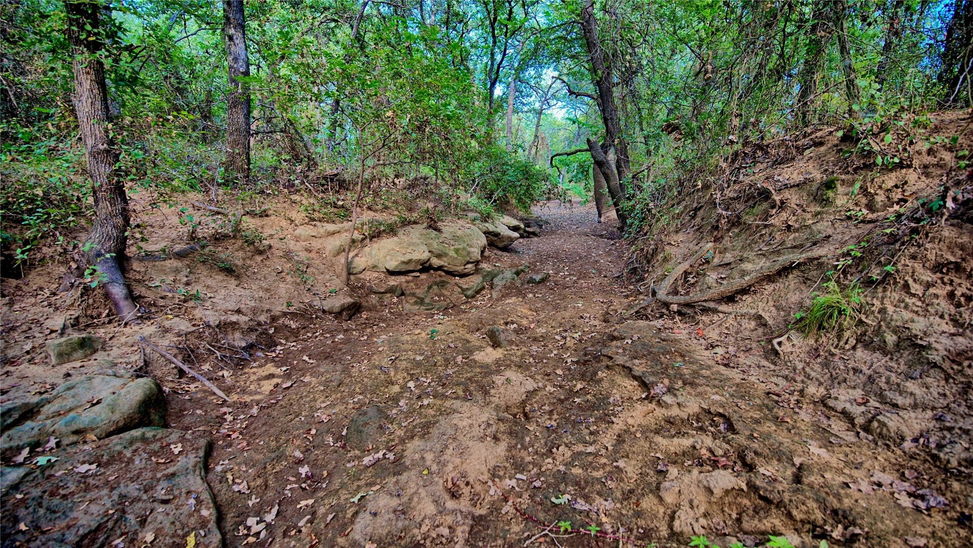 20 acres in Montague County - photo 4